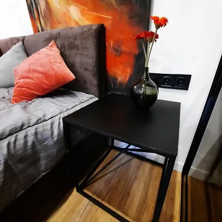 New Scandic Center In Apartment