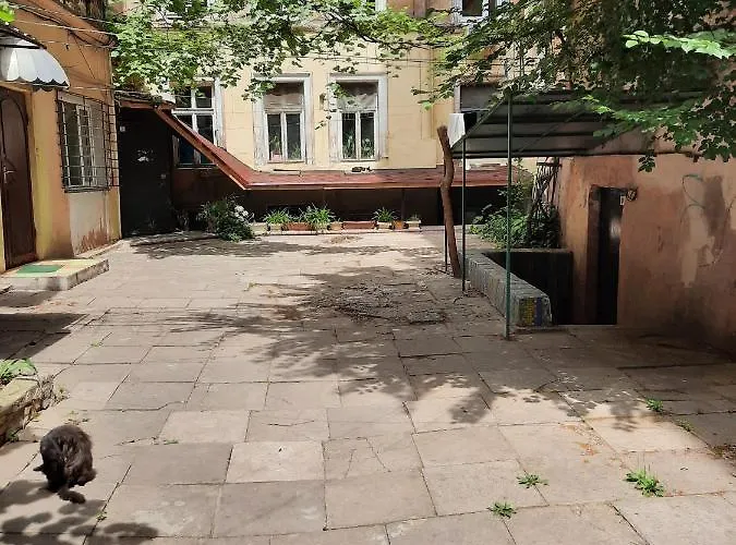 New Scandic Center In *